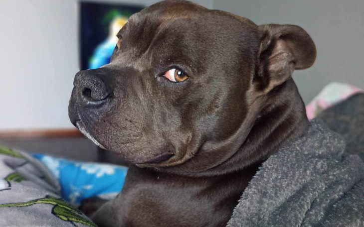 Zbiórka Na operację Konanka - zdjęcie główne