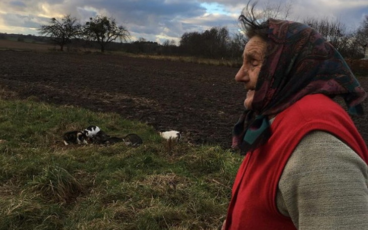 Zbiórka Staruszka i jej 18 kotów. Pomóż - zdjęcie główne