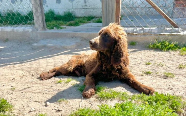 Zbiórka Karmel - wyrzucony z samochodu - zdjęcie główne