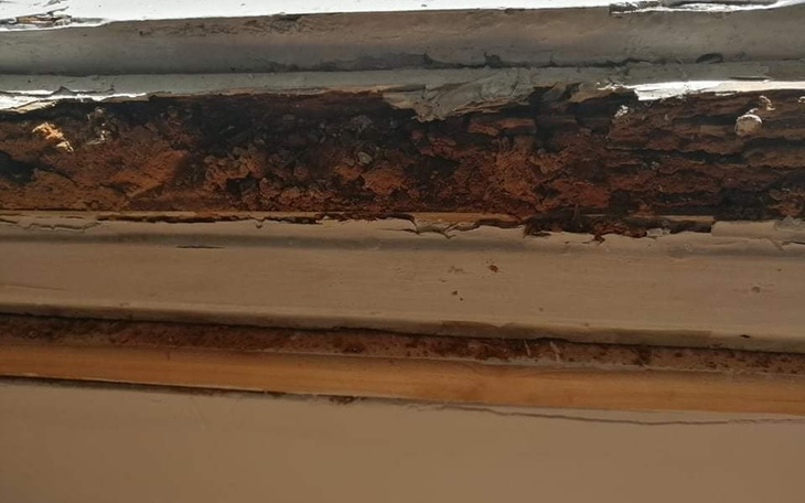 Zbiórka Pilna pomoc po huraganie - zdjęcie główne