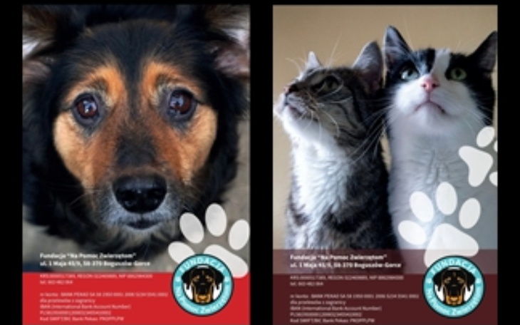 Zbiórka kalendarze 2022 - zdjęcie główne