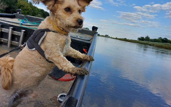 Zbiórka Wózek inwalidzki dla Tobiaszka - zdjęcie główne
