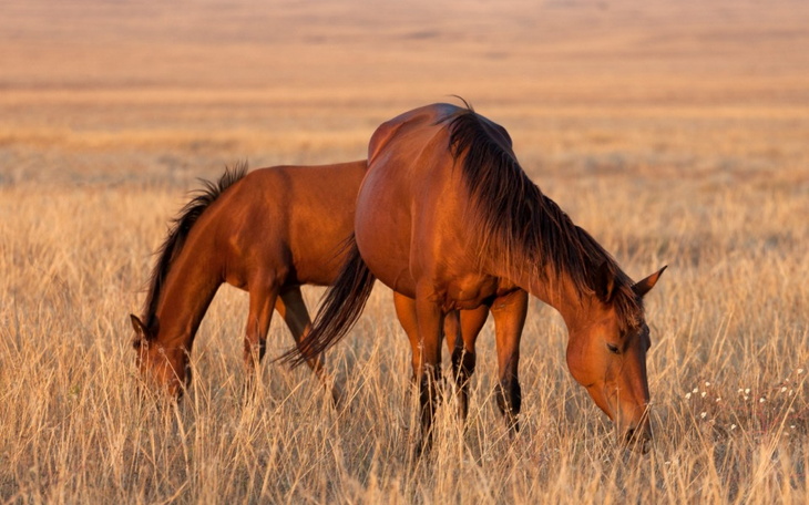 Zbiórka Proszę o pomoc w spełnieniu - zdjęcie główne