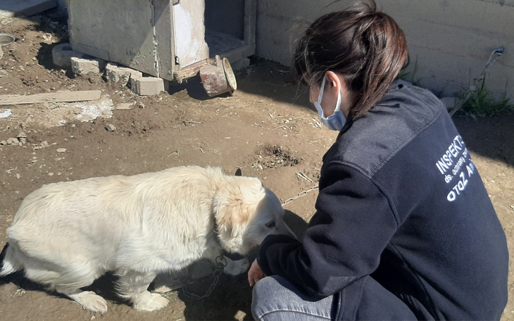 Zbiórka Kolejne zerwane łańcuchy - zdjęcie główne