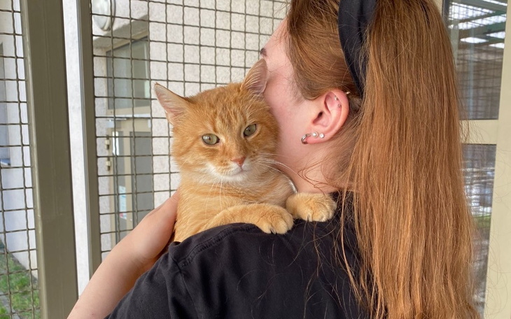 Zbiórka Przez żołądek_do serca - zdjęcie główne