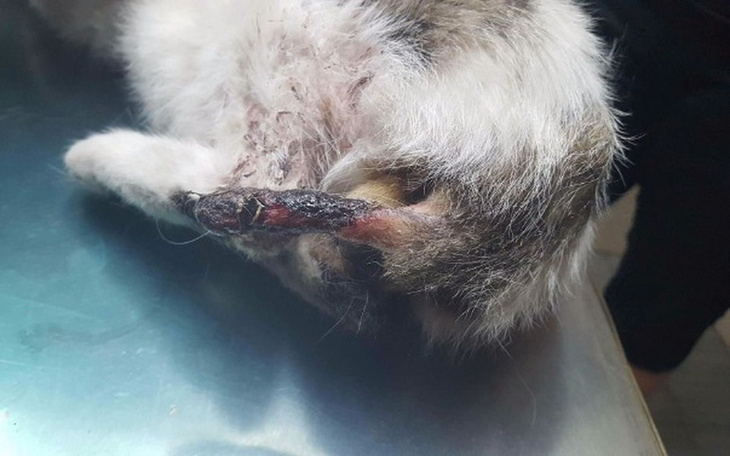 Zbiórka Żyć i cierpieć 😥 - zdjęcie główne