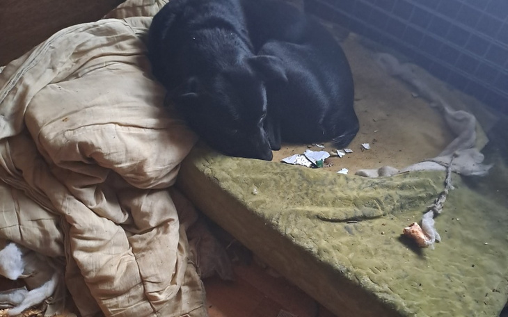 Zbiórka Na to by mógł poczuć ciepło - zdjęcie główne