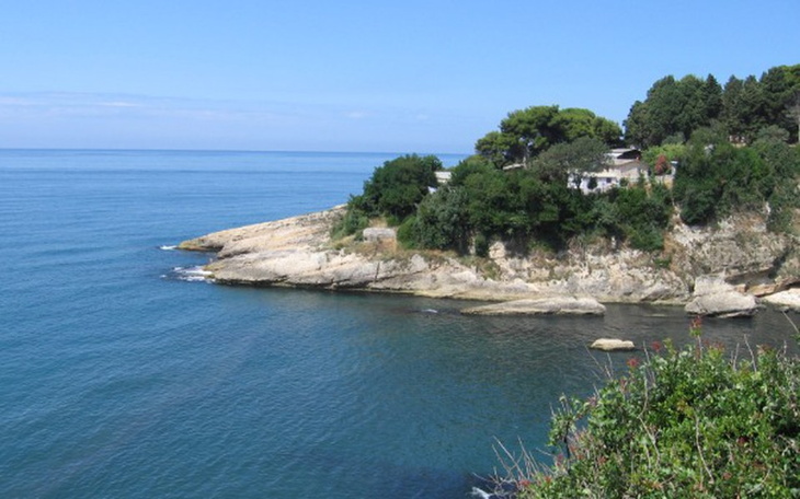 Zbiórka Wakacje Marzenia Rodzina - zdjęcie główne