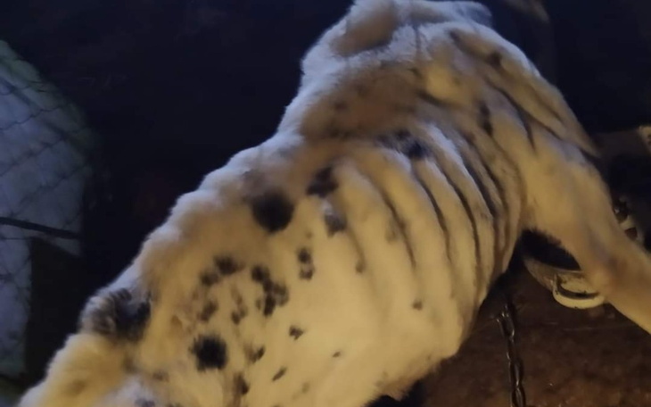 Zbiórka Śmierć po cichu - zdjęcie główne