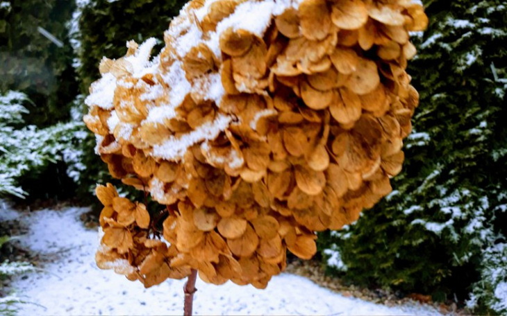 Zbiórka Pomagamy Mamie z dziećmi - zdjęcie główne