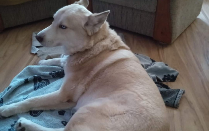 Zbiórka Zbiórka Dla Mniamka - zdjęcie główne