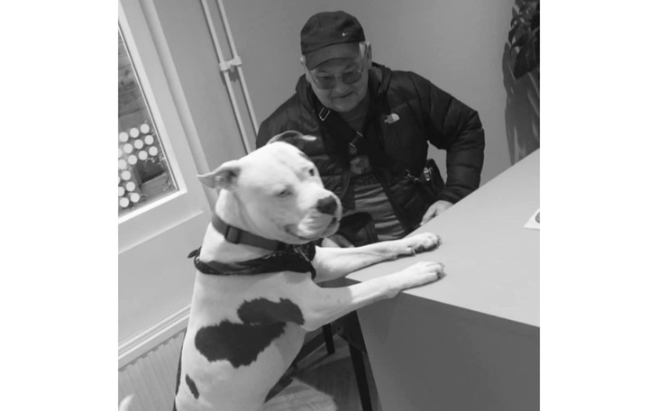 Mężczyzna z psem w biurze, pies stoi na stole.