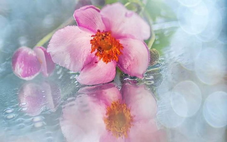 Zbiórka Pomoc po domu samotnej matki - zdjęcie główne