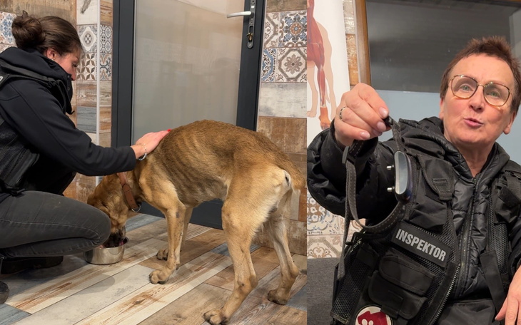 Kobieta z psem w schronisku, pokazująca smycz.