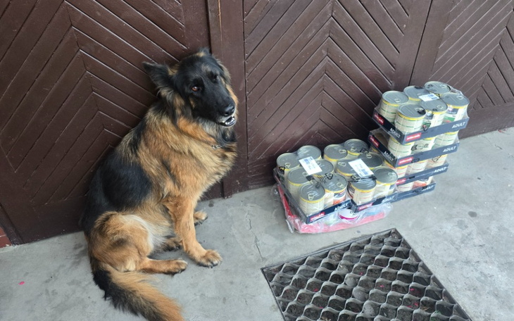 Zbiórka Pomoc w spłacie karmy bezdomniak - zdjęcie główne