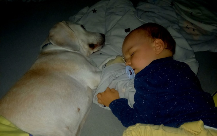 Zbiórka Leczenie mojej psiej przyjaciolk - zdjęcie główne