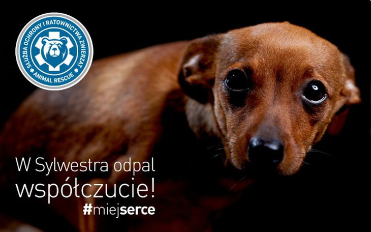 Zbiórka Sylwestrowy Patrol 2018 - zdjęcie główne