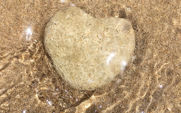 Zbiórka Leczenie onkologiczne - szpiczak - zdjęcie główne