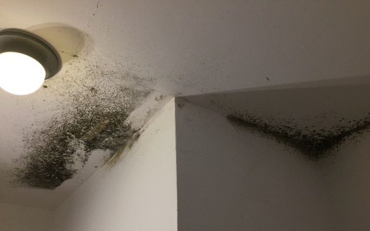 Zbiórka Węgiel/opał - zdjęcie główne