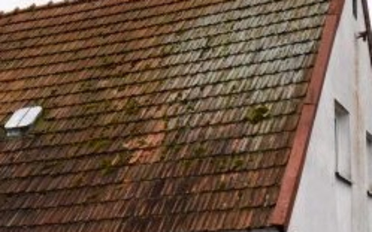 Zbiórka Pomoc dla Zuzi i Marcysi remont - zdjęcie główne