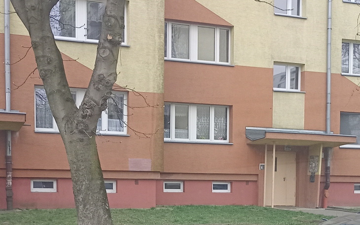 Fasada budynku mieszkalnego z drzewem w pierwszym planie.