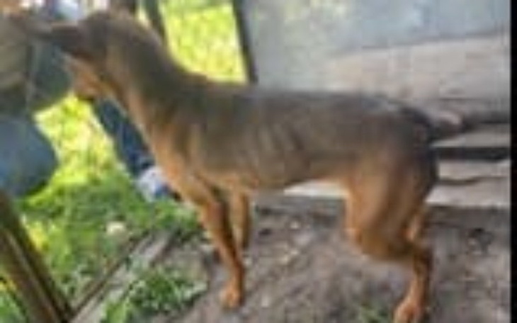 Zbiórka chodzący szkielet - zdjęcie główne