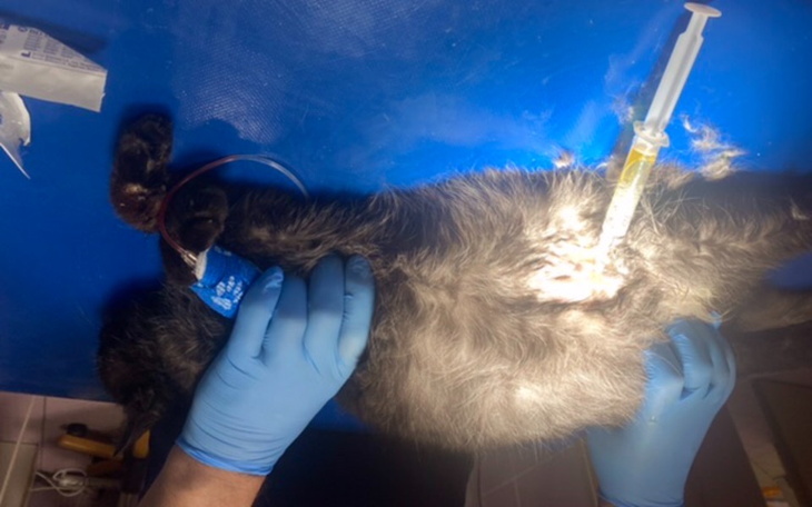 Zbiórka Proszę nie pozwólcie mi umrzeć - zdjęcie główne