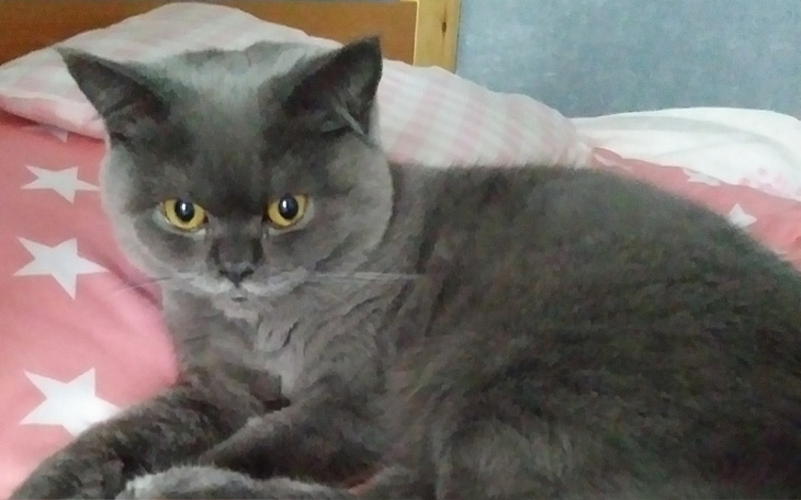 Zbiórka Gozi chce wygrać z FIP - zdjęcie główne