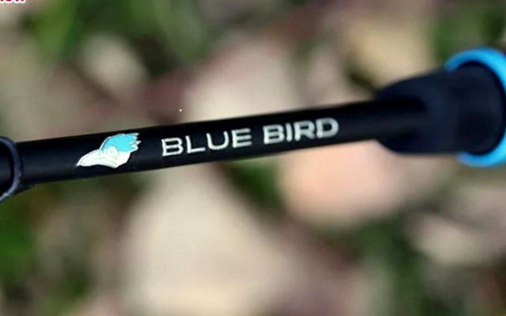 Zbiórka blue bird - zdjęcie główne