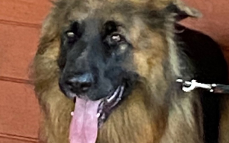 Zbiórka Pomoc dla batona - zdjęcie główne