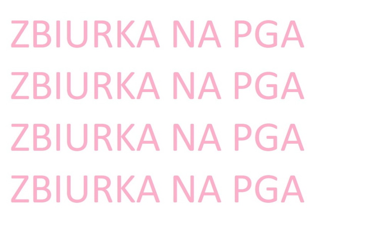 Zbiórka zbiurka na pga - zdjęcie główne