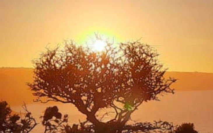 Zbiórka Pomoc pomoc proszę - zdjęcie główne