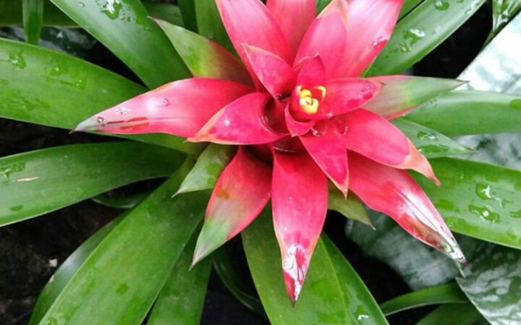 Zbiórka Zbieram na marzeniaxxx - zdjęcie główne