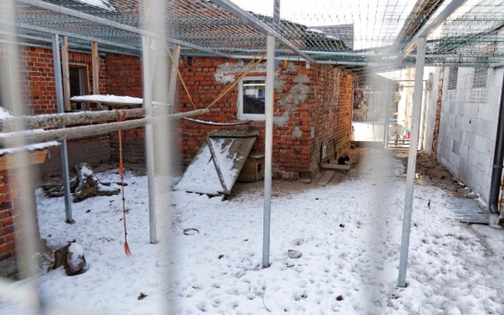 Zbiórka Ocieplamy Schronisko w Paryżu! - zdjęcie główne