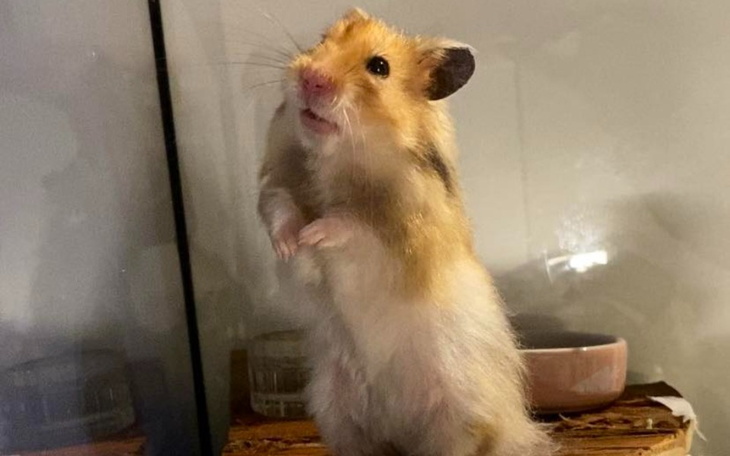 Zbiórka Wrzesień-grudzień - zdjęcie główne