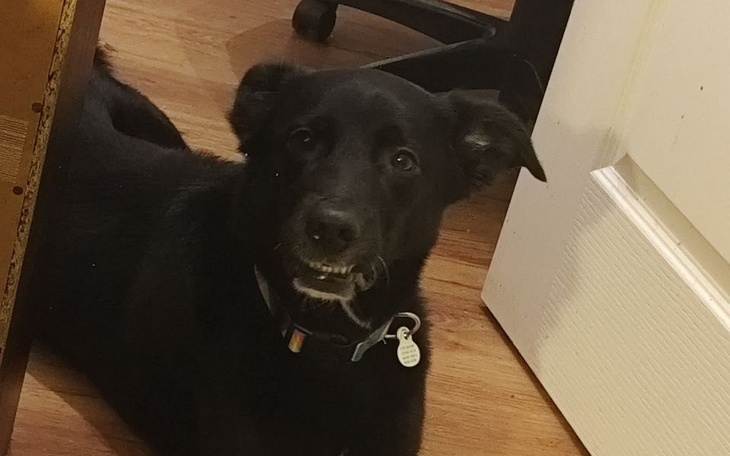 Zbiórka Na dość drogie leki qwq - zdjęcie główne