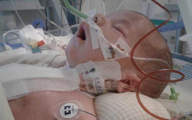 Zbiórka Walka o wolę życia - zdjęcie główne