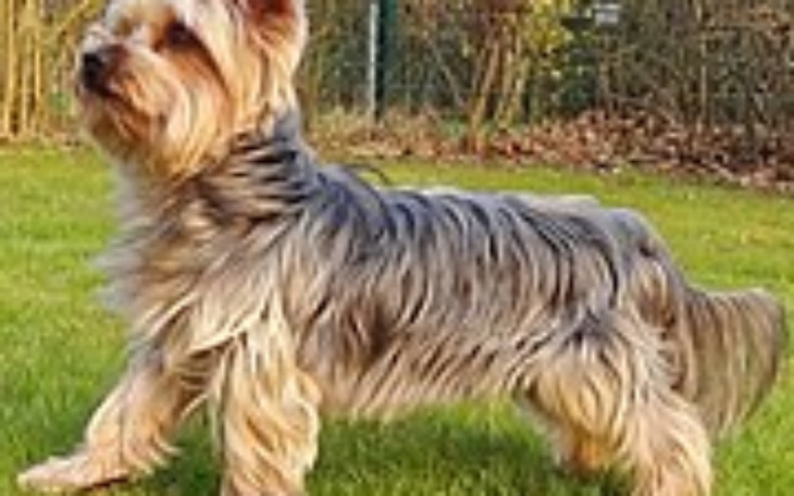 Zbiórka Przyjaciółka w potrzebie - zdjęcie główne