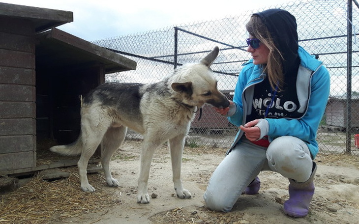 Pies w schronisku z opiekunem, który go karmi.