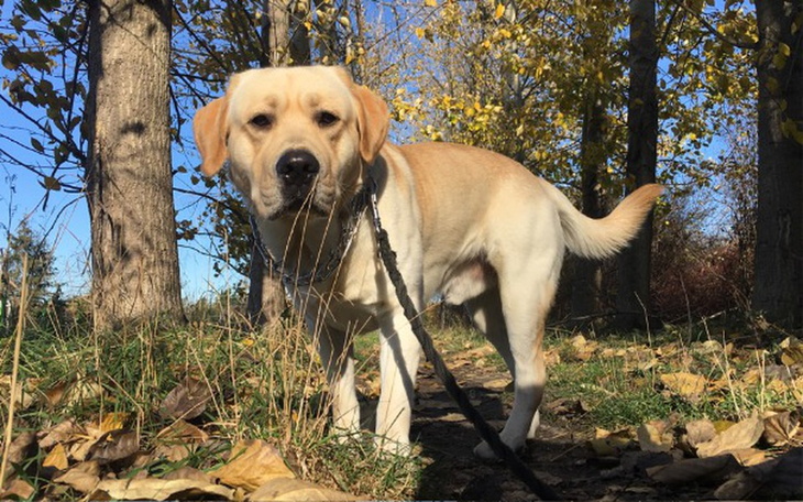 Zbiórka Spejsonek - zdjęcie główne