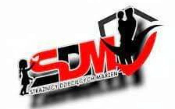 Zbiórka Wsparcie dla SDM - zdjęcie główne