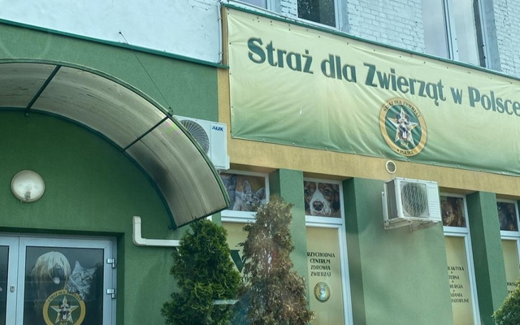 Zbiórka 6 Łapek dla Zwierząt w Polsce - zdjęcie główne
