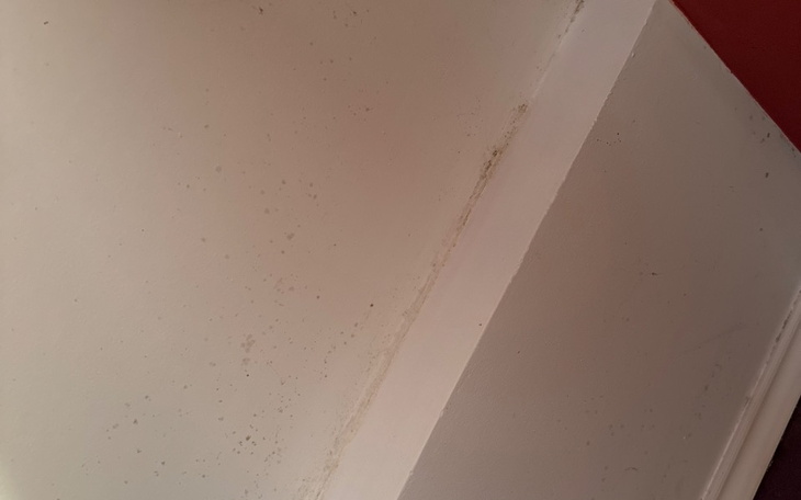 Zbiórka Remont pokoju u Anety - zdjęcie główne