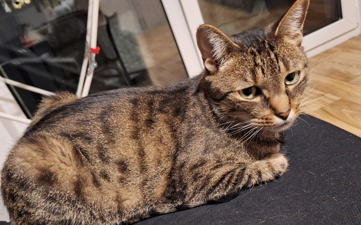 Zbiórka Szary - zdjęcie główne