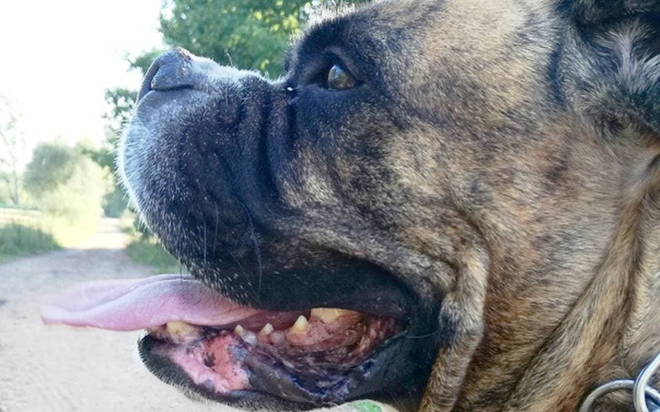 Zbiórka #nadłużej - zdjęcie główne