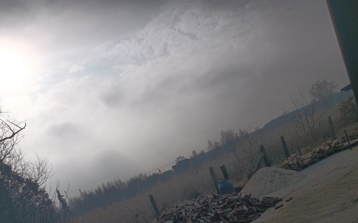 Widok na mglisty krajobraz z drzewami i niebem.