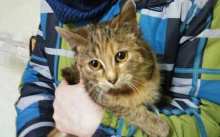 Zbiórka Ile warte jest ŻYCIE? - zdjęcie główne