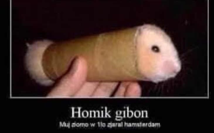 Zbiórka Picccerk u turka - zdjęcie główne