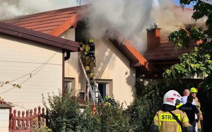 Kot bawi się na specjalnym stole w klinice