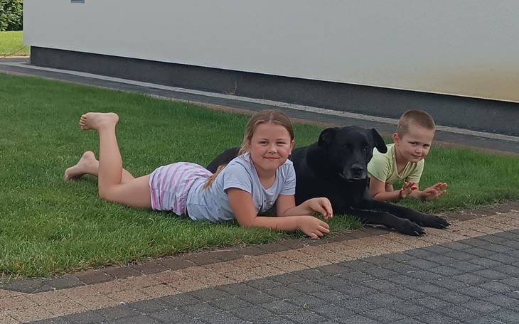 Zbiórka Zbiórka Dagi dla schroniska - zdjęcie główne